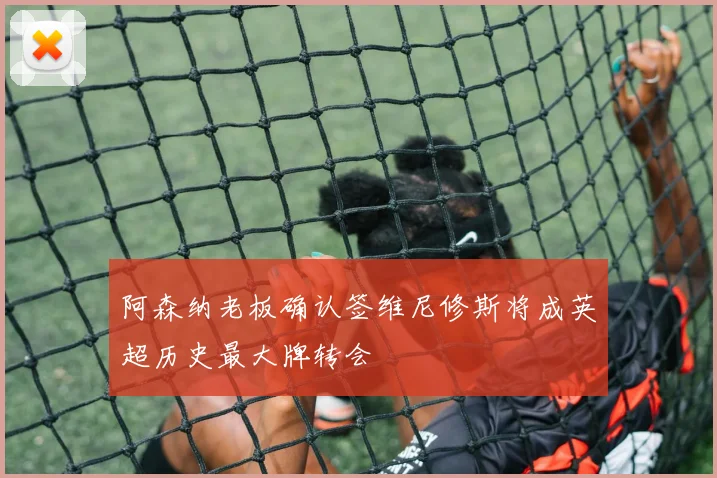 阿森纳老板确认签维尼修斯将成英超历史最大牌转会